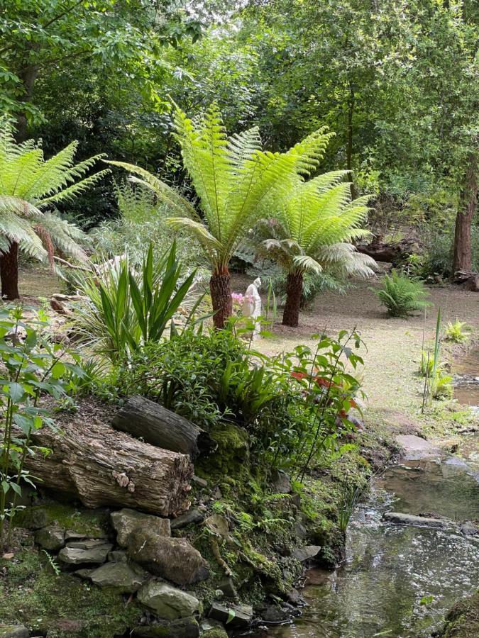Manoir Medieval Du XV Ieme Siecle Minihy-Tréguier Eksteriør bilde